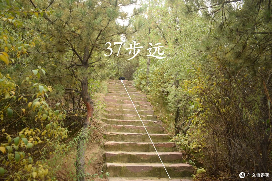 佩戴舒适超便携:FIIL随身星 全天佩戴耳机上手体验