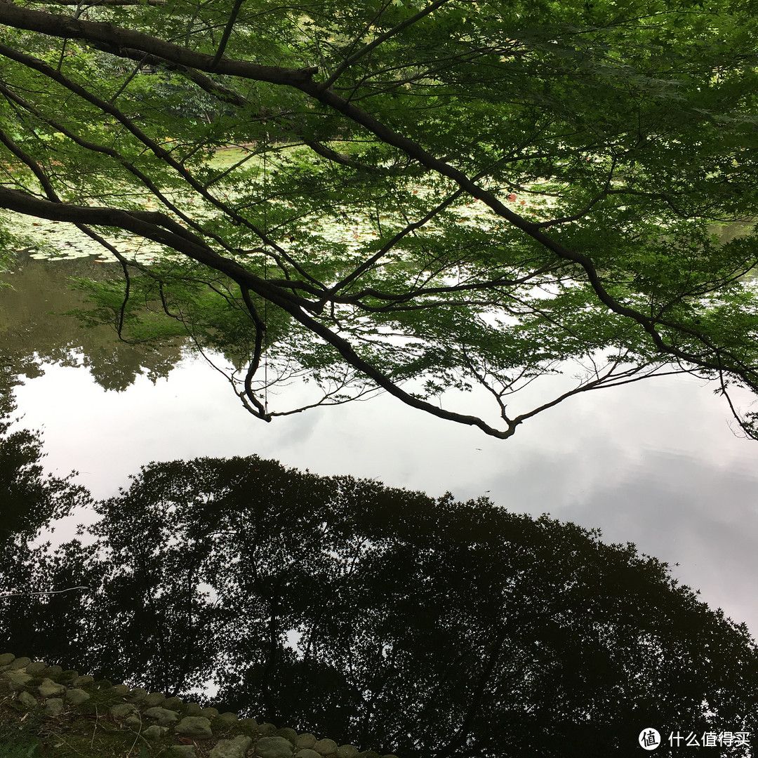 金阁寺-北野地区及二条城