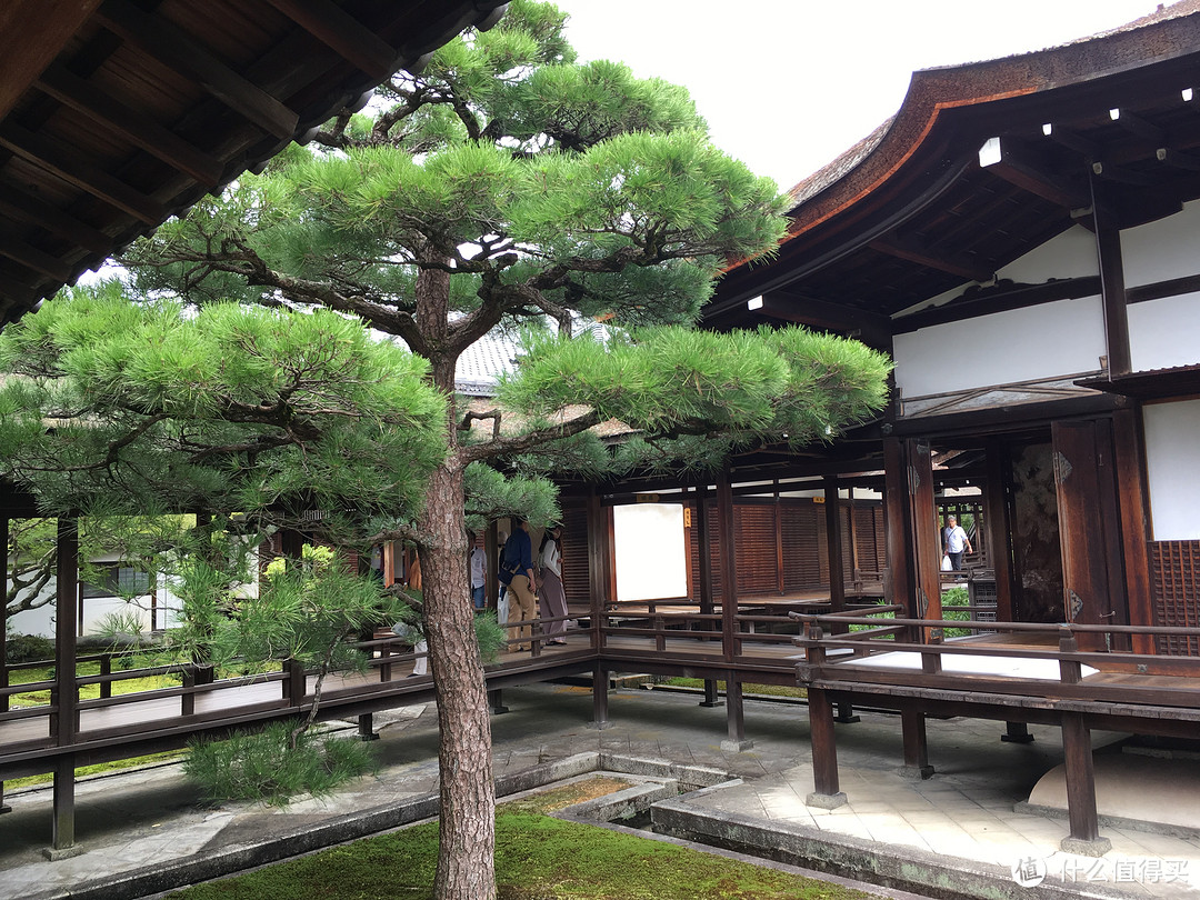 金阁寺-北野地区及二条城