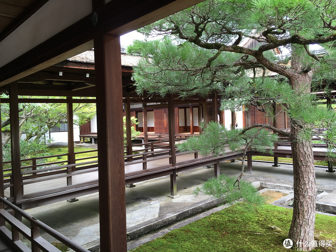 金阁寺-北野地区及二条城