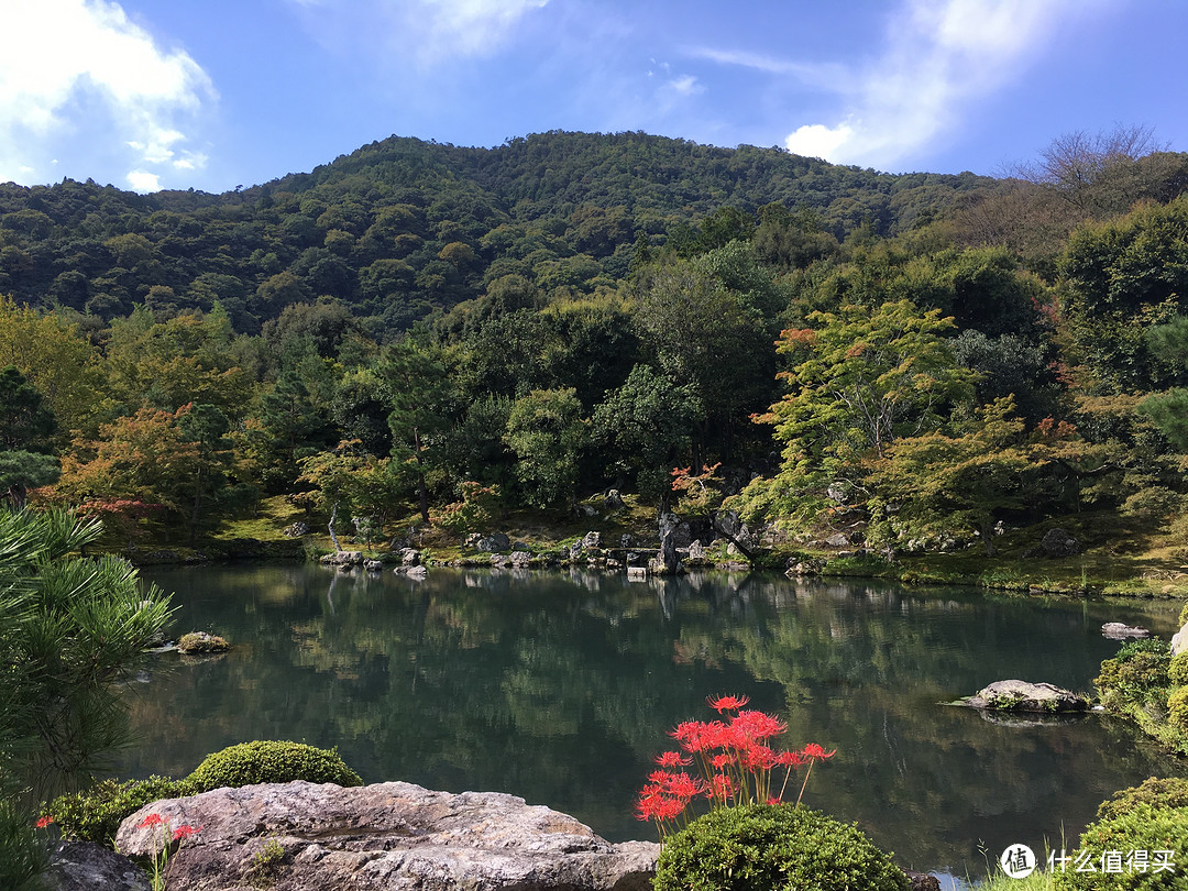 京都最后一部分-----岚山地区