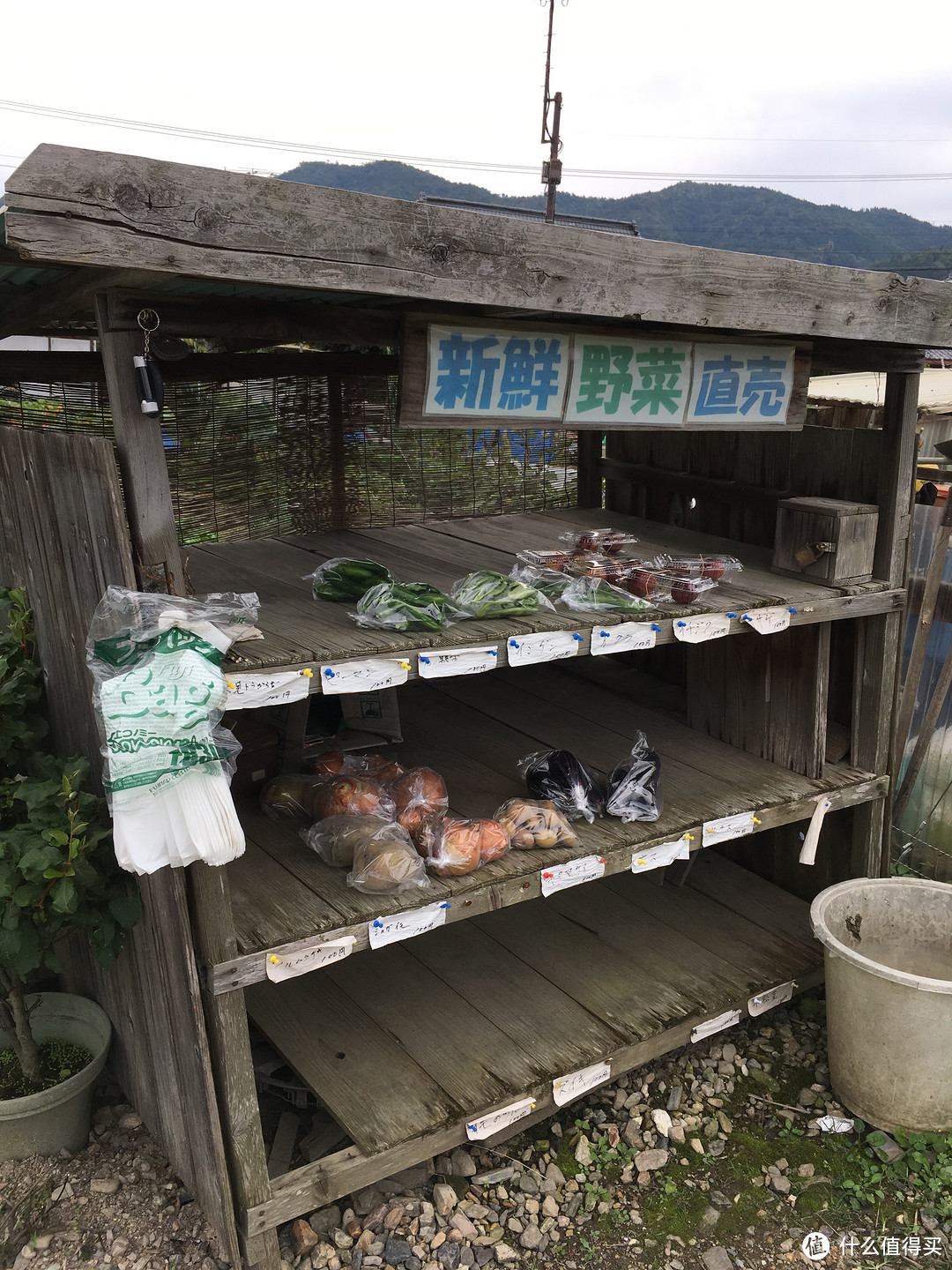 京都最后一部分-----岚山地区