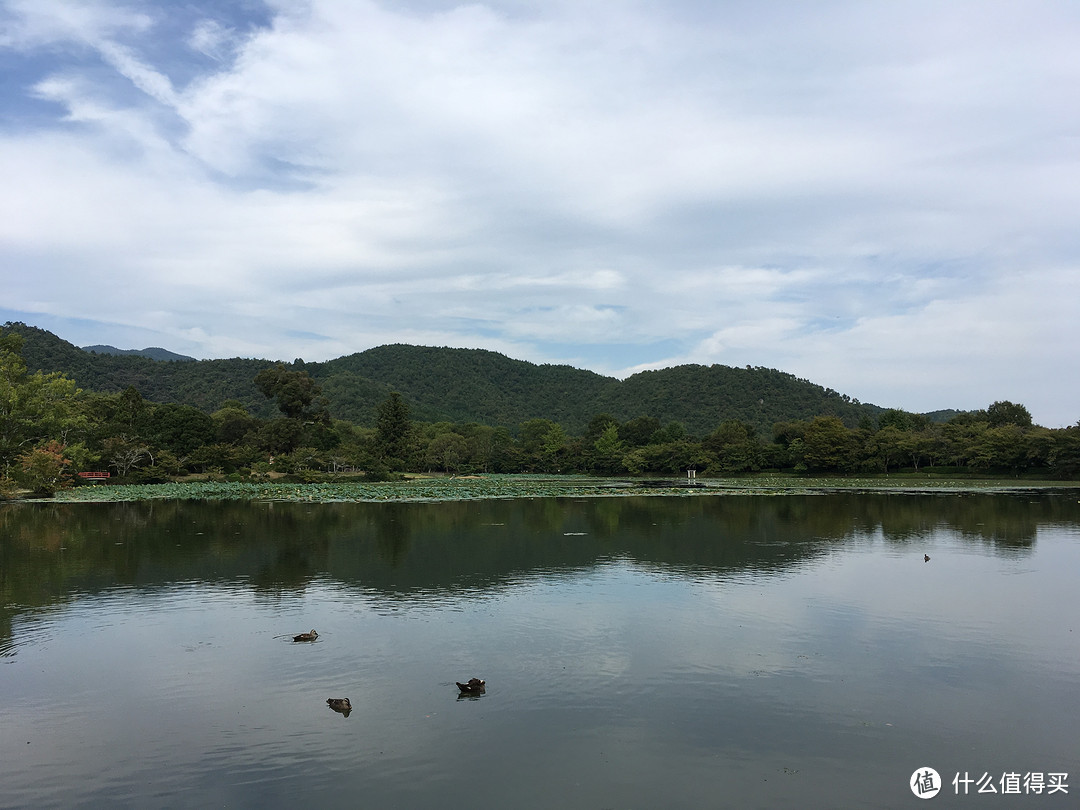 京都最后一部分-----岚山地区