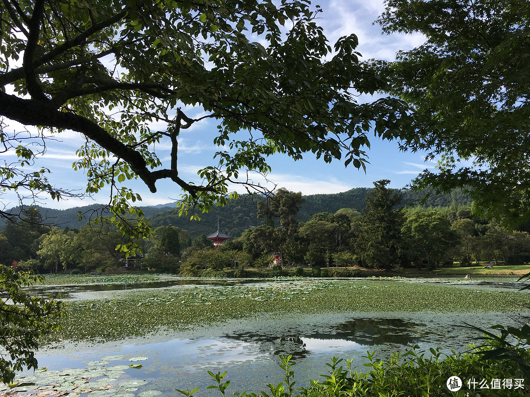 京都最后一部分-----岚山地区