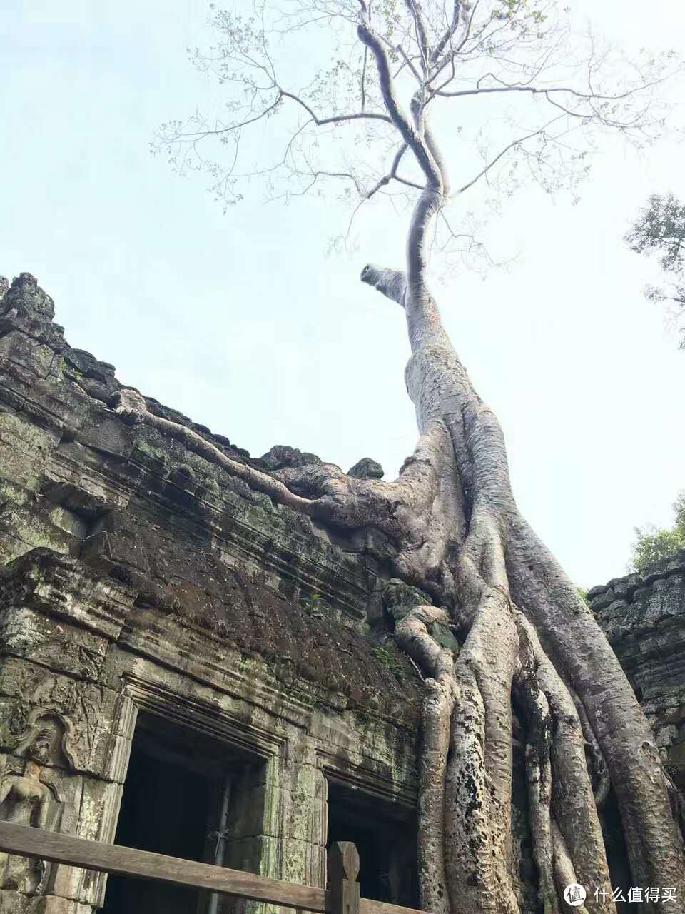 走起，看吴哥去 ------超详细万字旅行小游记加攻略篇