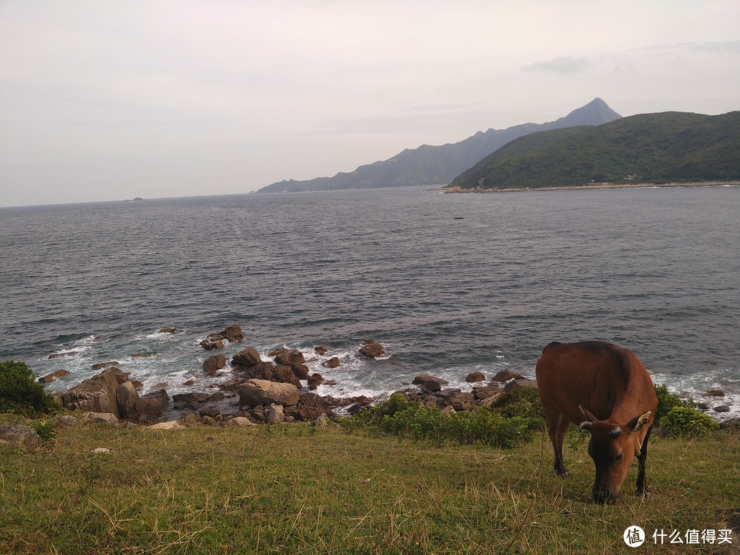 户外菜鸟一个人3天2夜香港塔门岛+麦理浩径二段咸田湾露营游记