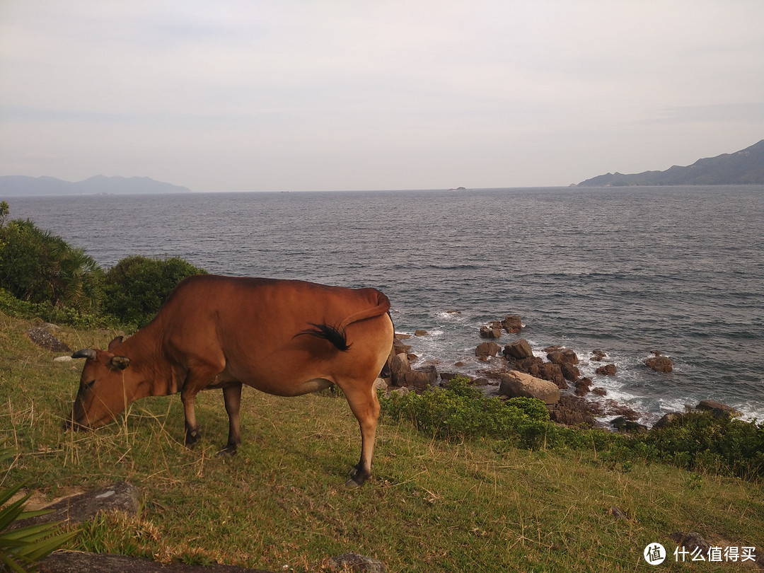 户外菜鸟一个人3天2夜香港塔门岛+麦理浩径二段咸田湾露营游记