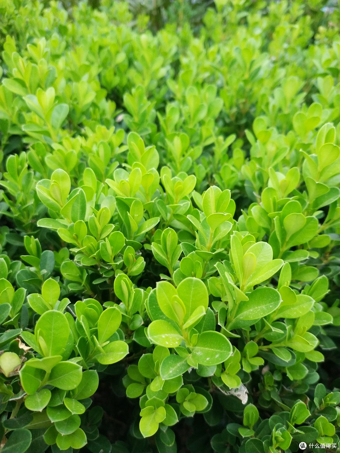 当全面屏不再是概念 — 小米MIX2 的使用体验