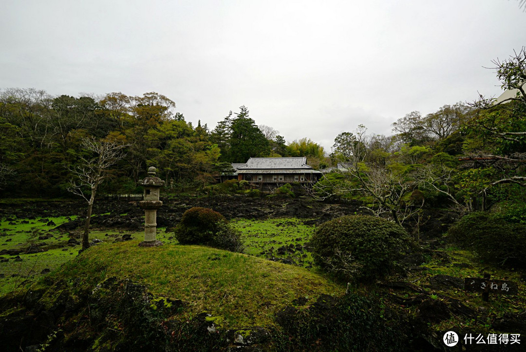 一路寻芳·自东向西15天完整体验日本樱花季（上篇）