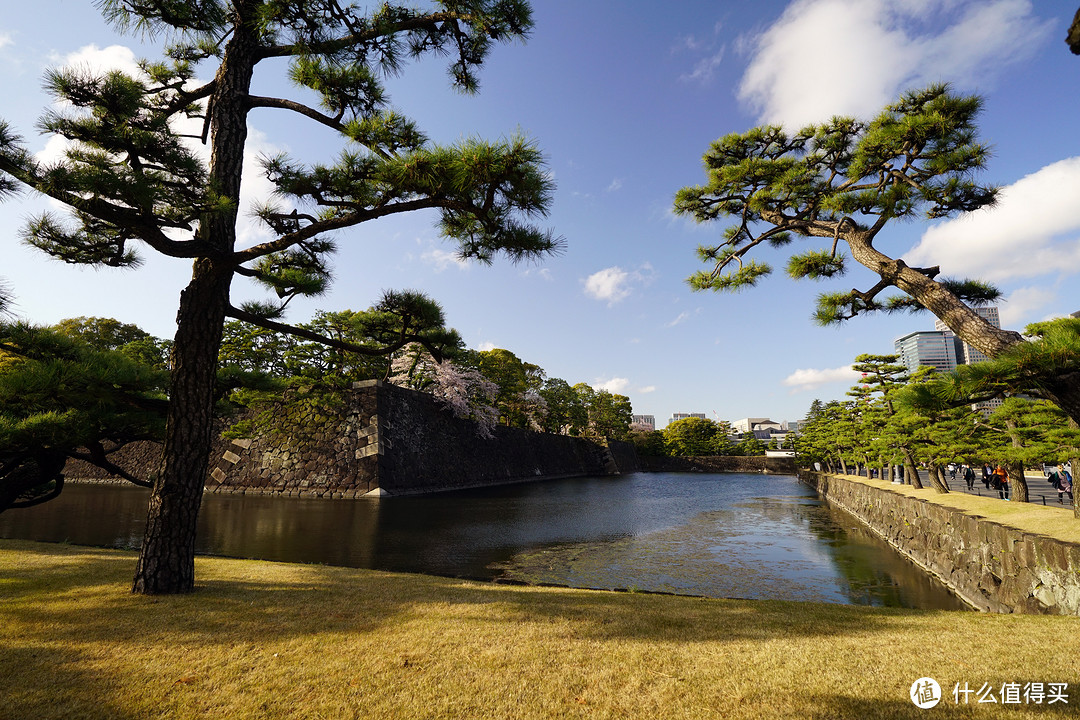 一路寻芳·自东向西15天完整体验日本樱花季（上篇）