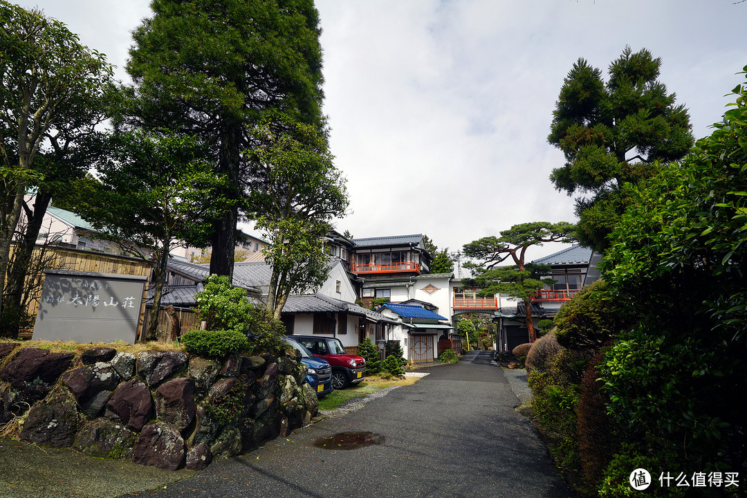 一路寻芳·自东向西15天完整体验日本樱花季（上篇）