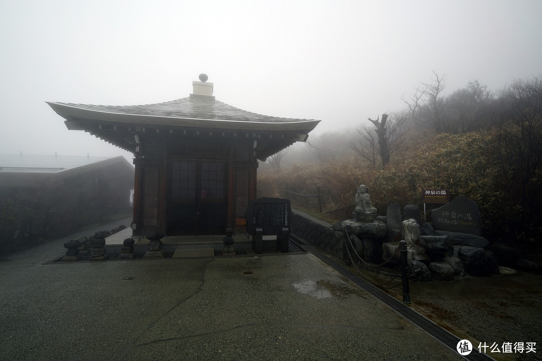 一路寻芳·自东向西15天完整体验日本樱花季（上篇）