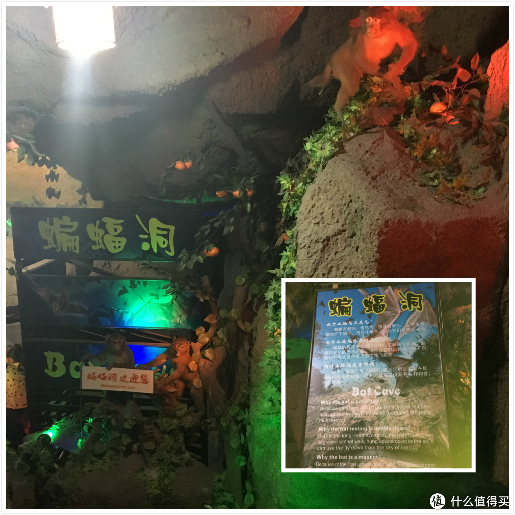 绝对的冷门，村子里的上海游龙石文化科普馆