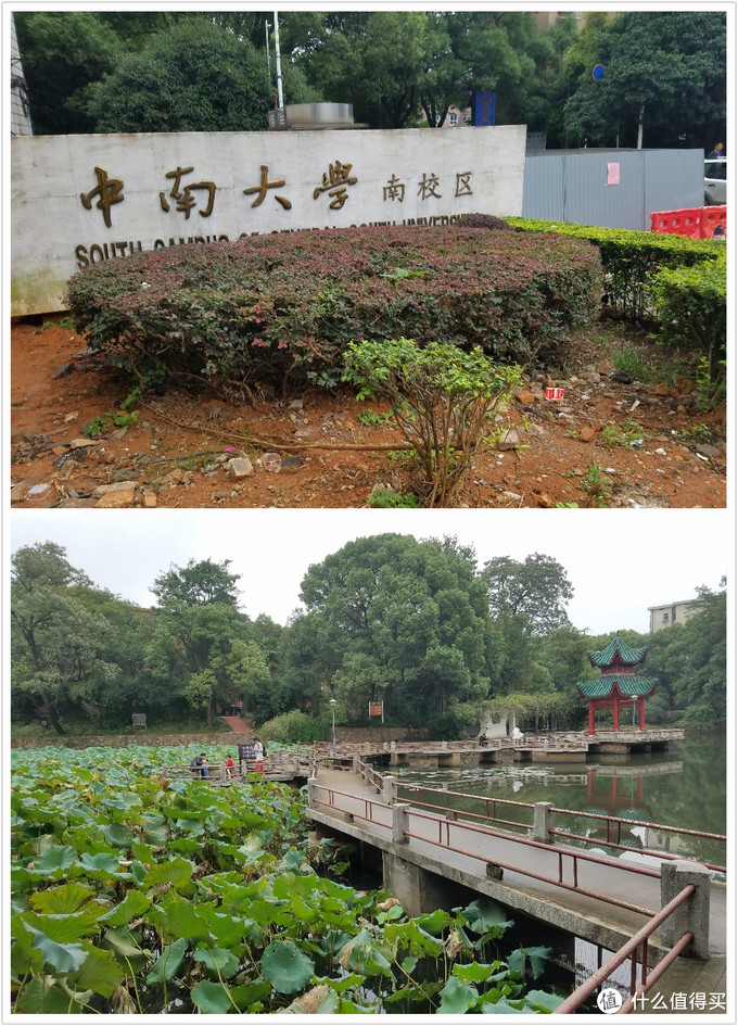 中南大学南校区