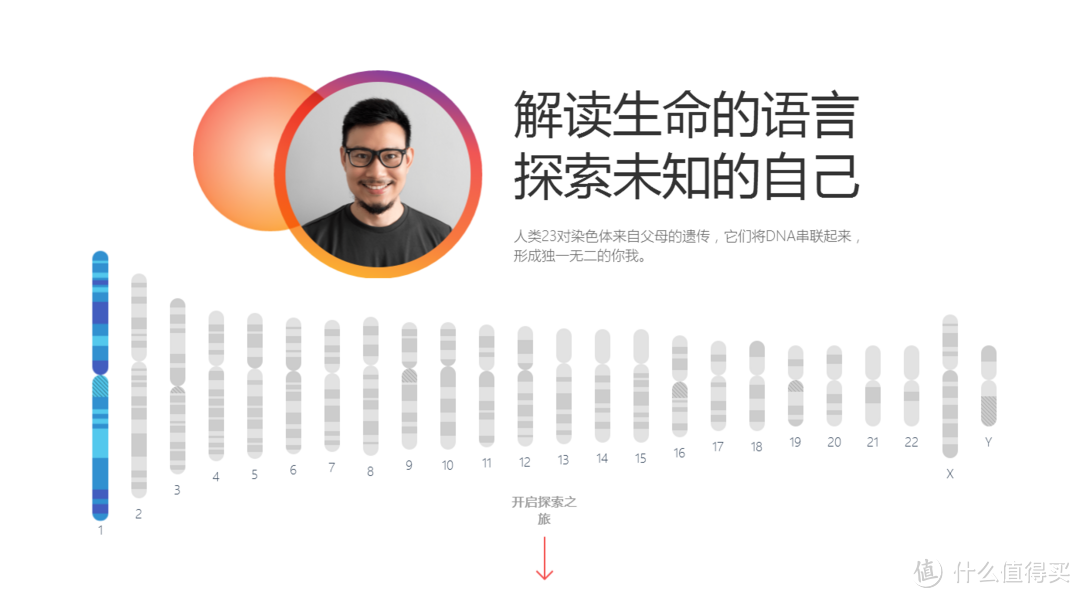 消费级基因检测-23魔方，一次好玩的尝试