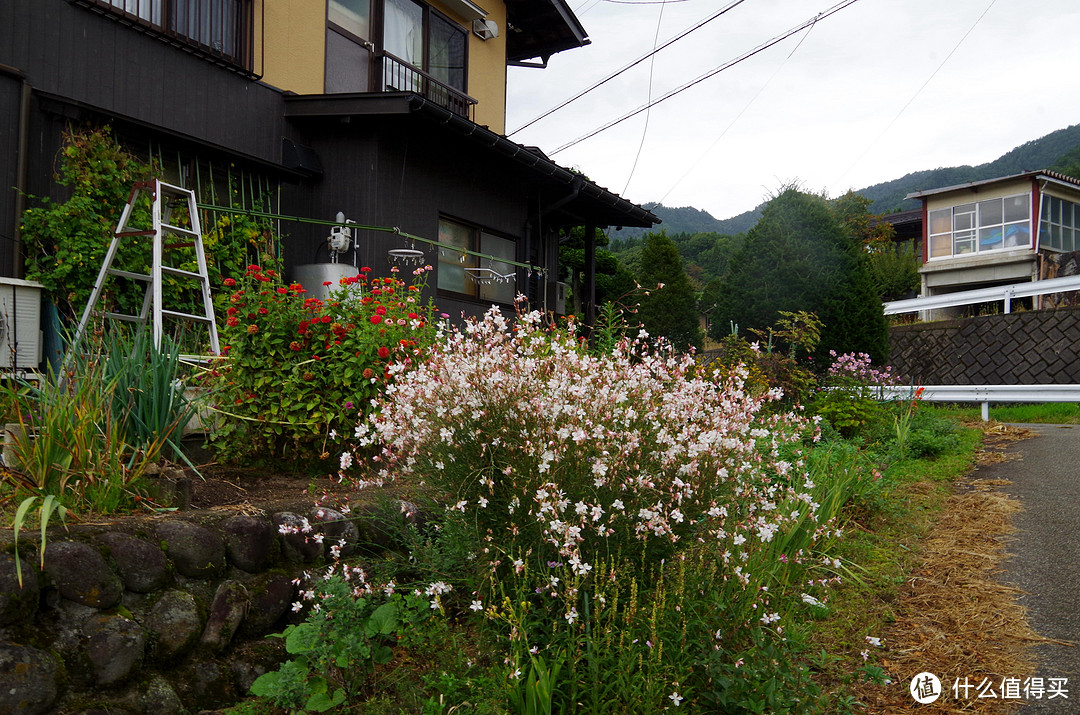 #出游记#原创新人#十一 一个人的日本之旅之中部山区+《你的名字》圣地巡礼