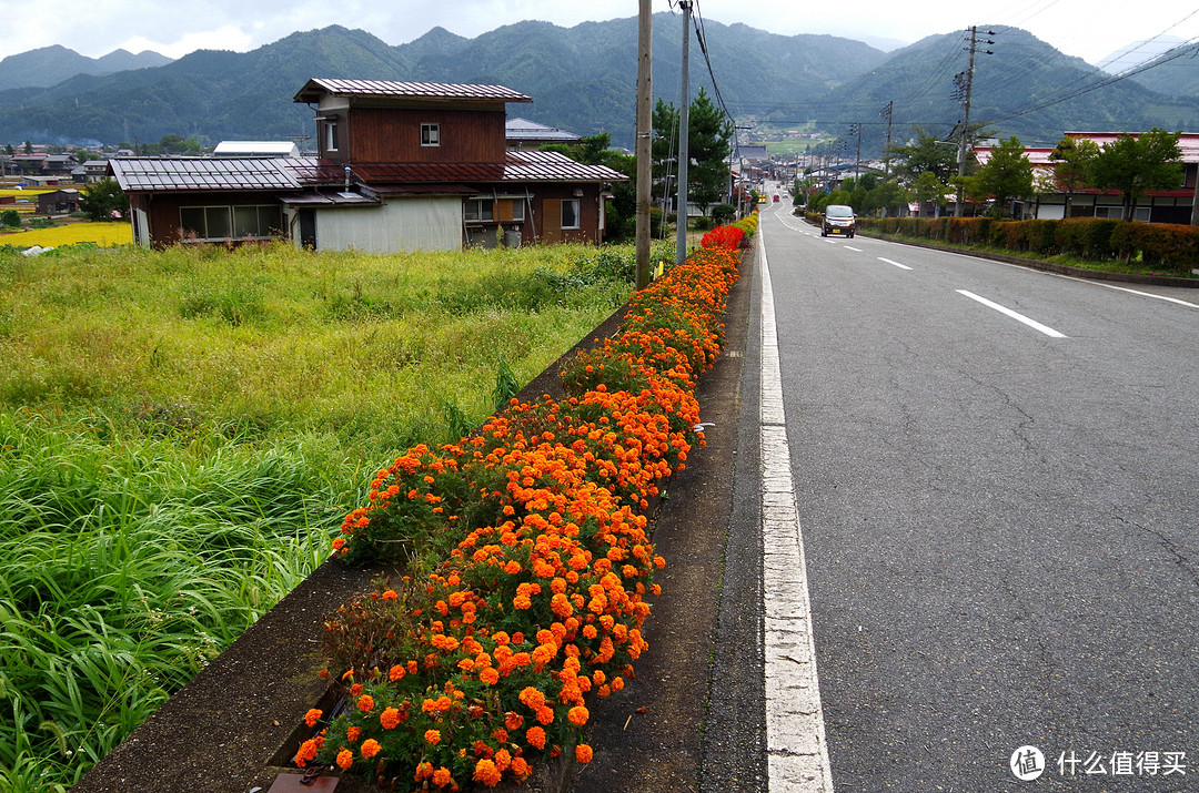 #出游记#原创新人#十一 一个人的日本之旅之中部山区+《你的名字》圣地巡礼