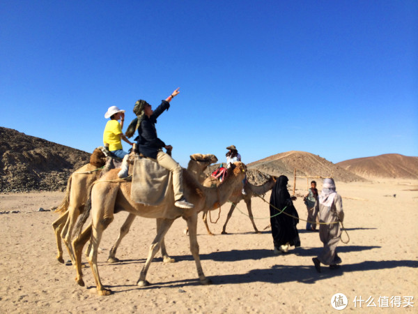 埃及经典8日跟团游游记 | 跟团去埃及值不值_埃