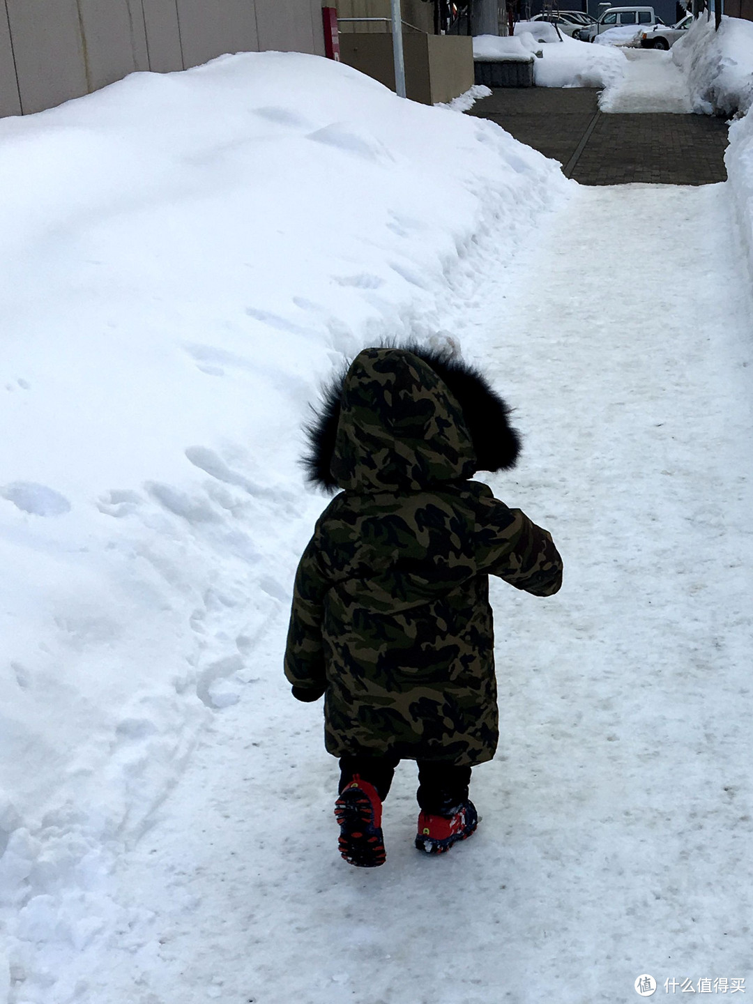 带娃去看雪 — 北海道篇