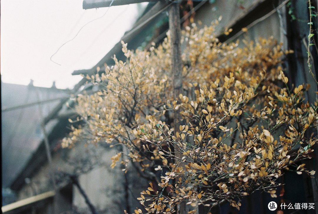 sp45/1.8 Fujifilm C200