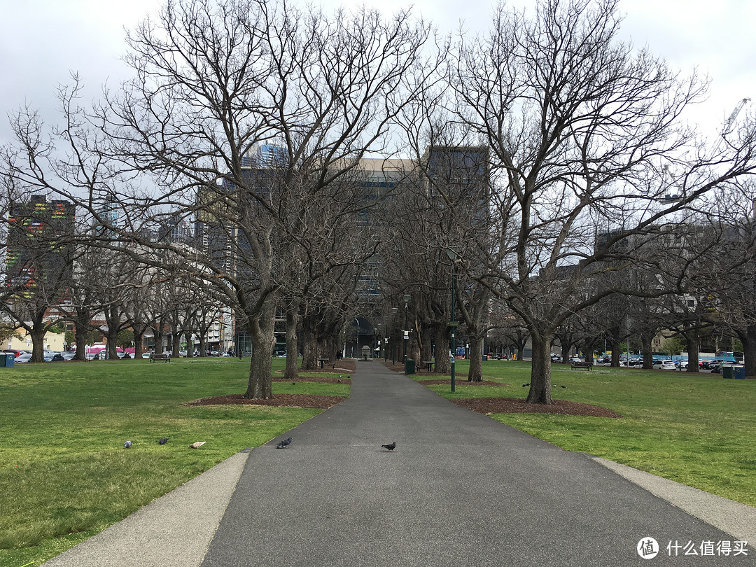 墨尔本大学门口的绿地