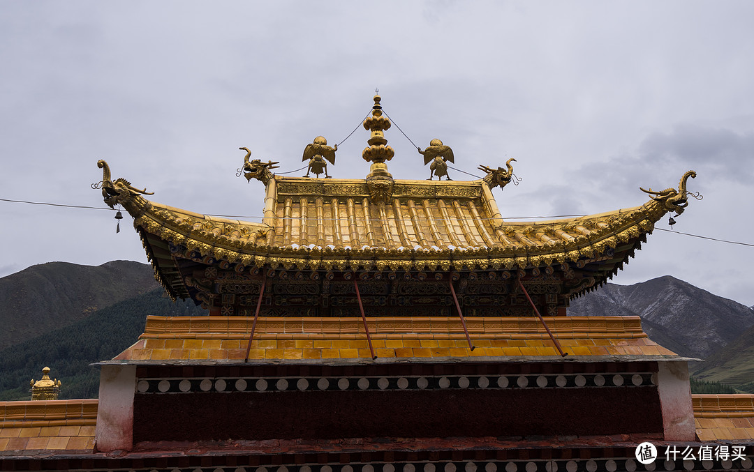 驶过春夏秋冬，来到拉卜楞寺！