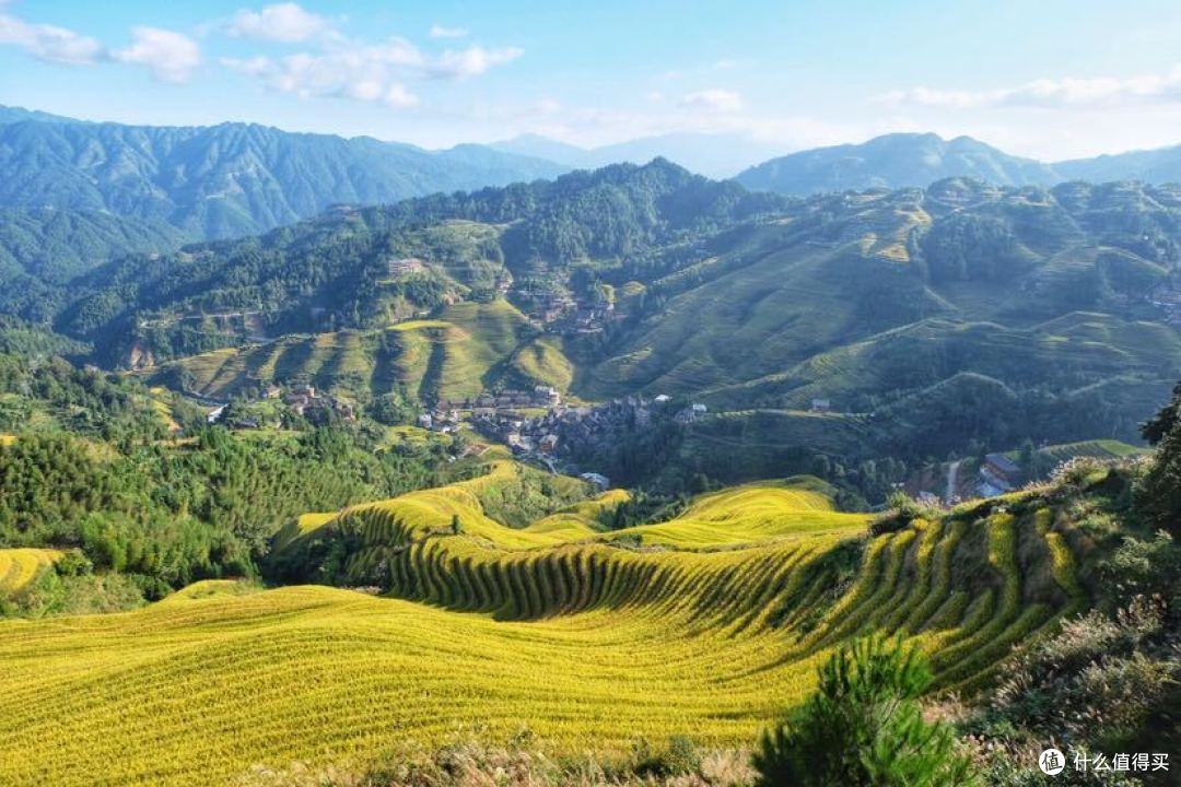 白云苍狗 龙脊秋收 封存金色的漫山遍野