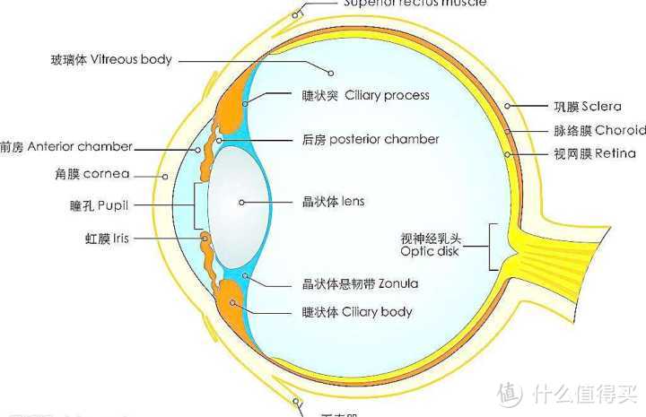 #本站首晒#午间休息小利器，倍轻松（breo）眼部按摩器 isee16 护眼仪 测评