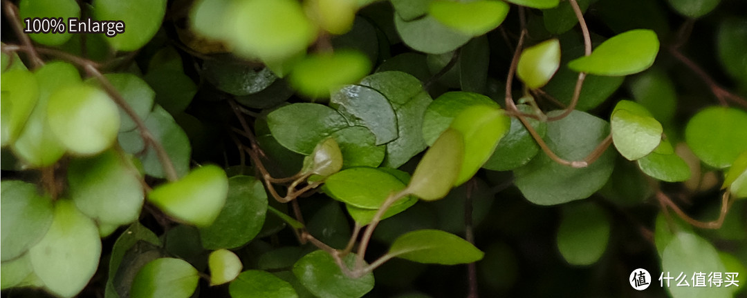 绕不过去的原点，富士XF35mm F1.4使用感受