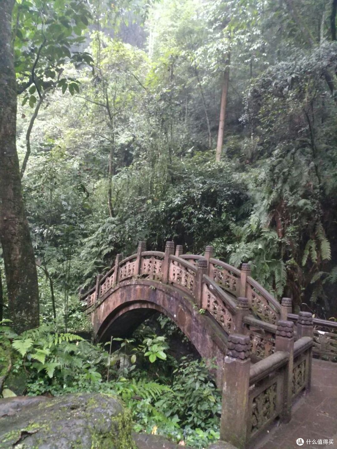 徒步峨眉山