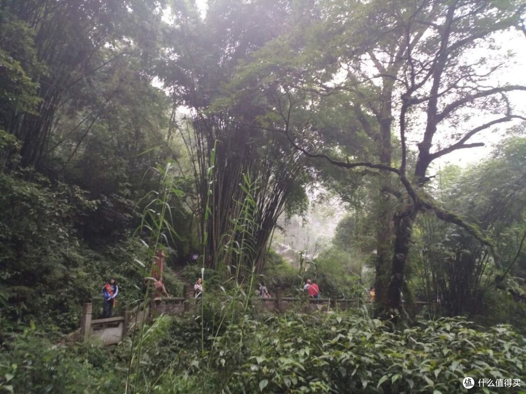 徒步峨眉山