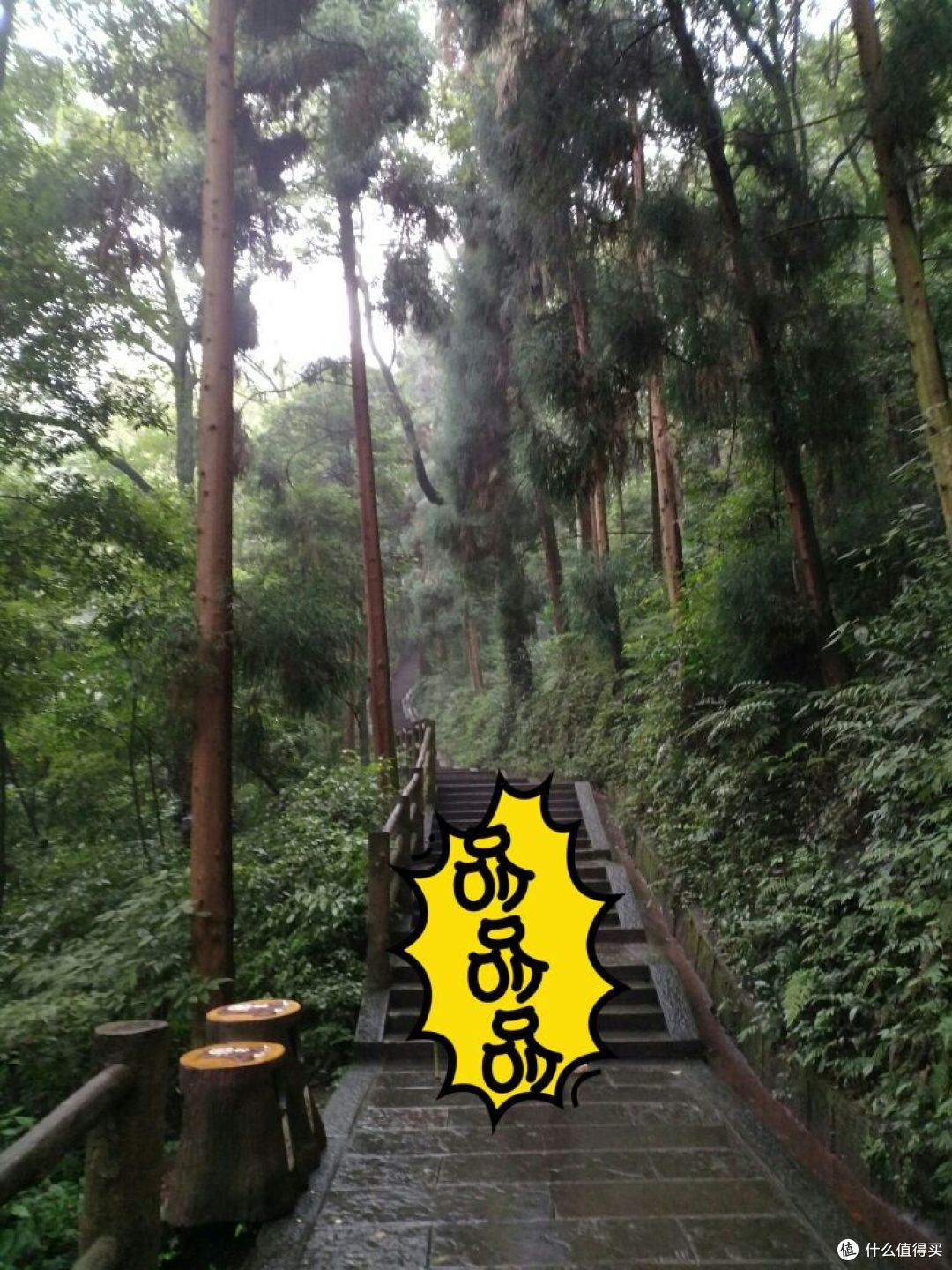 徒步峨眉山