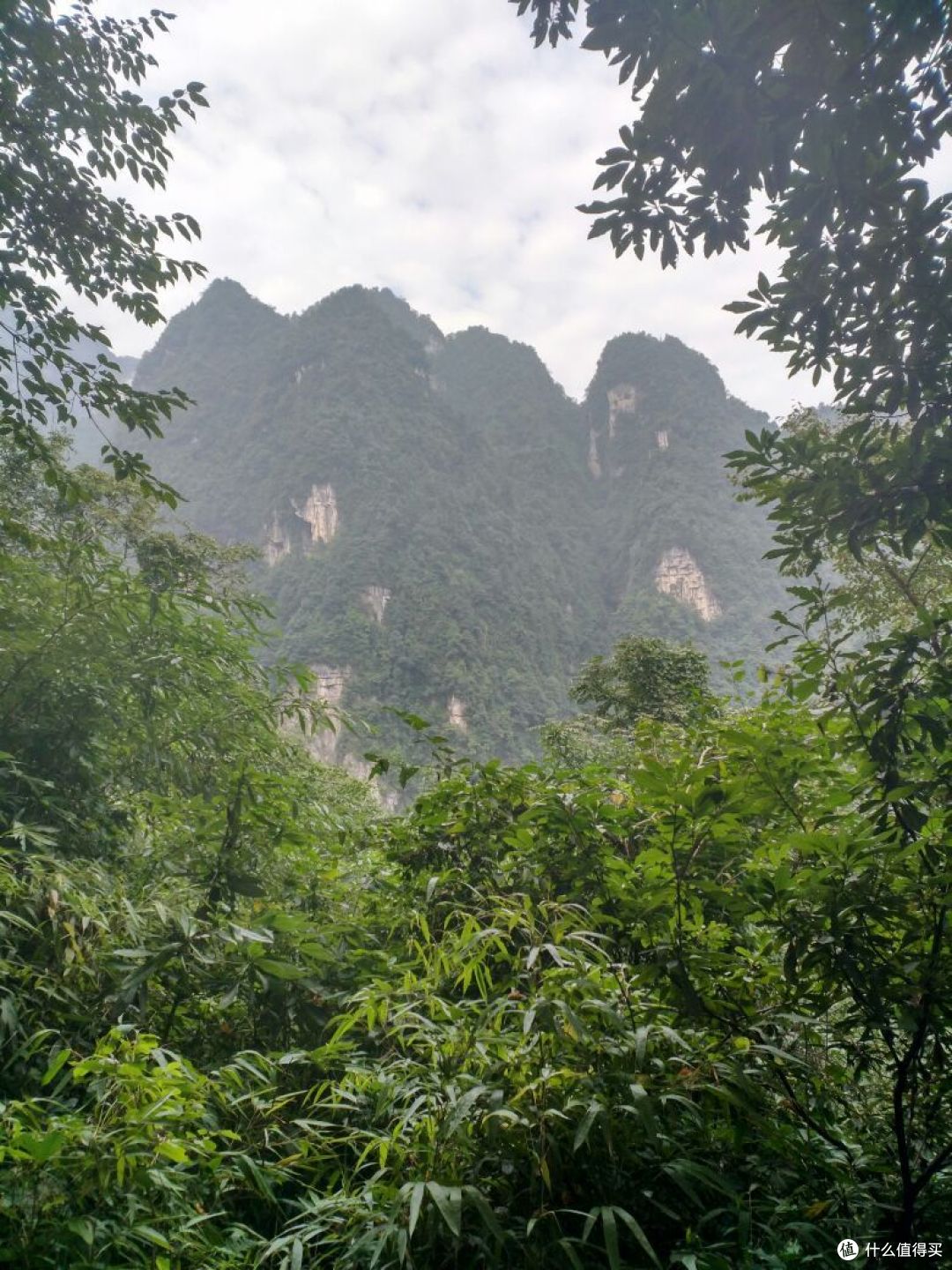 徒步峨眉山