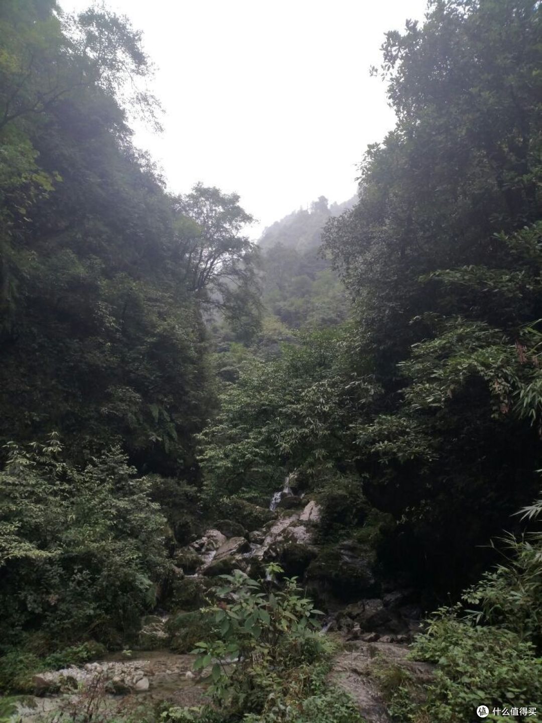徒步峨眉山