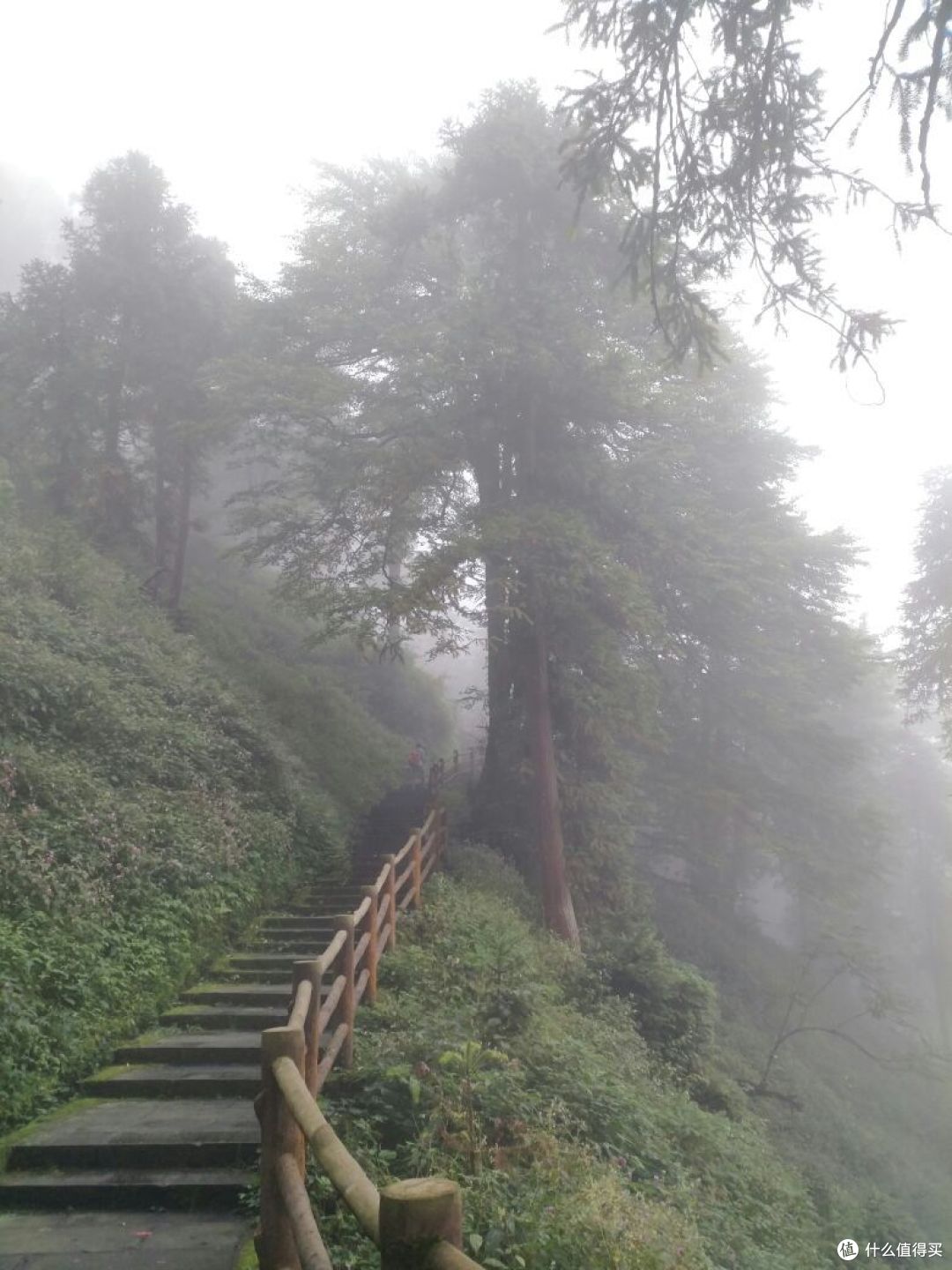 徒步峨眉山