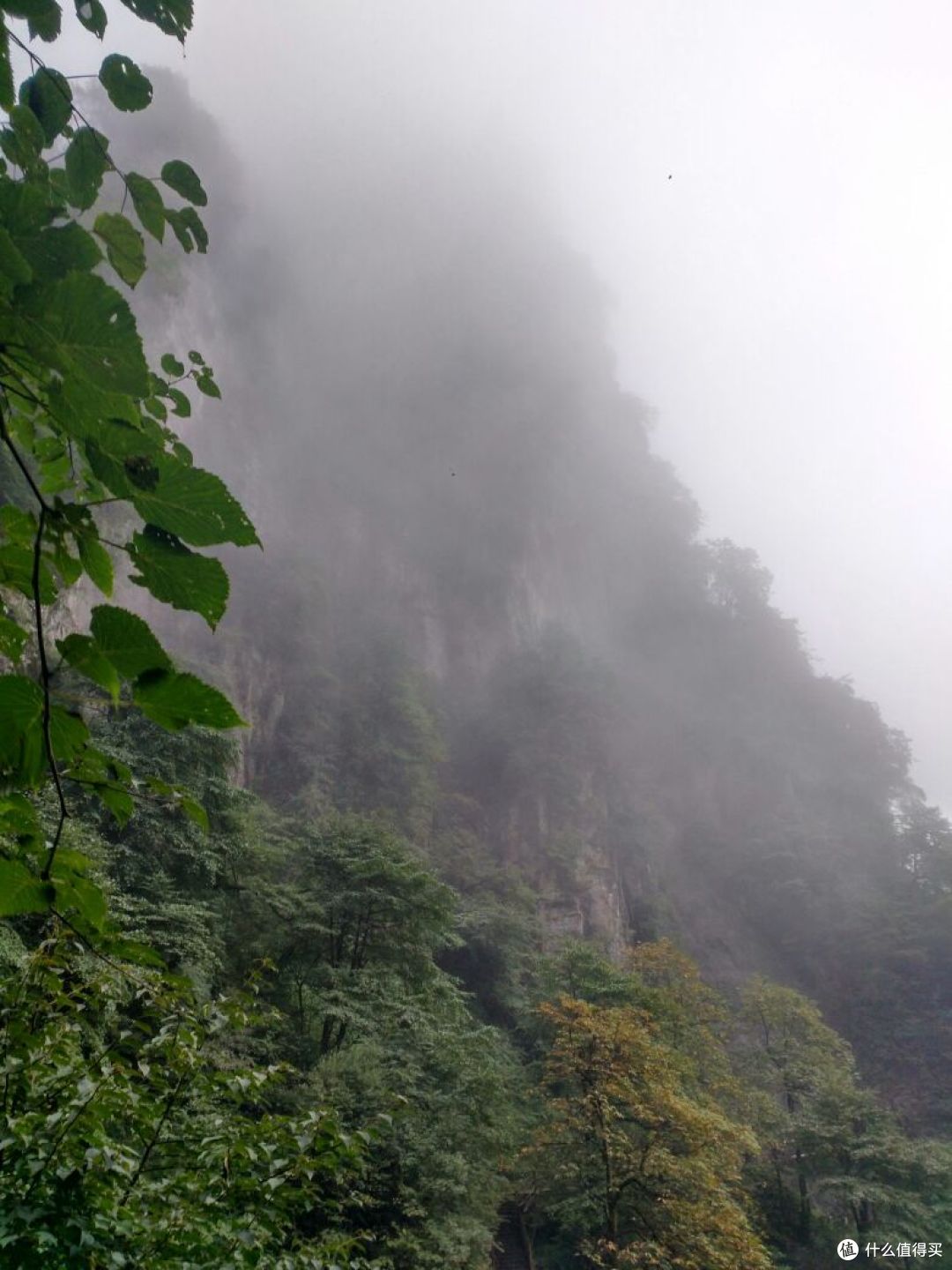 徒步峨眉山