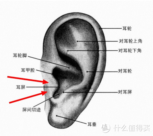 第一次体验骨传导蓝牙耳机，韶音AS650的音质和舒适度给人印象深刻