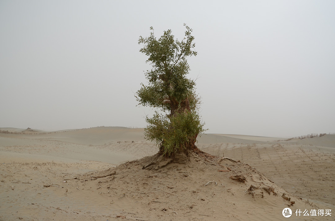 十一自驾不怕堵天津狂奔新疆—新疆是个美丽的地方