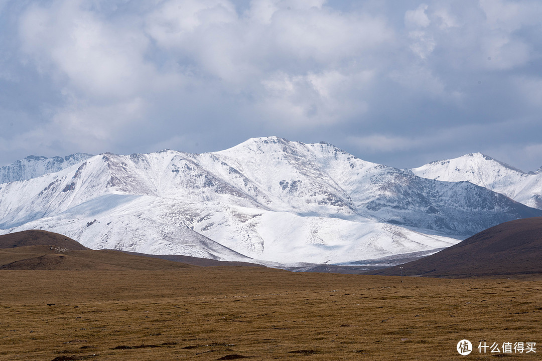 祁连草原，不知远处是否是冈什卡雪山