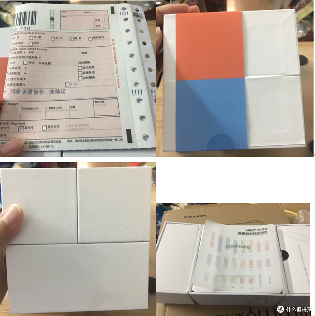 如果有决定拖延症的基因,那我应该是被显性表达了