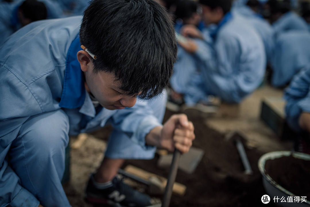 紫霞仙子，再也不会错过你了—TAMRON 腾龙 35mm1.8 Di VC 镜头 开箱