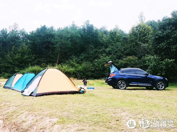 “能省会花”的1343名张大妈用户，如何看待旅行车？