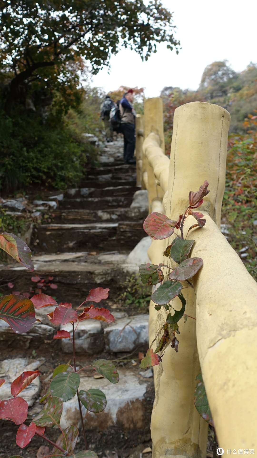 北京房山坡峰岭一日游记