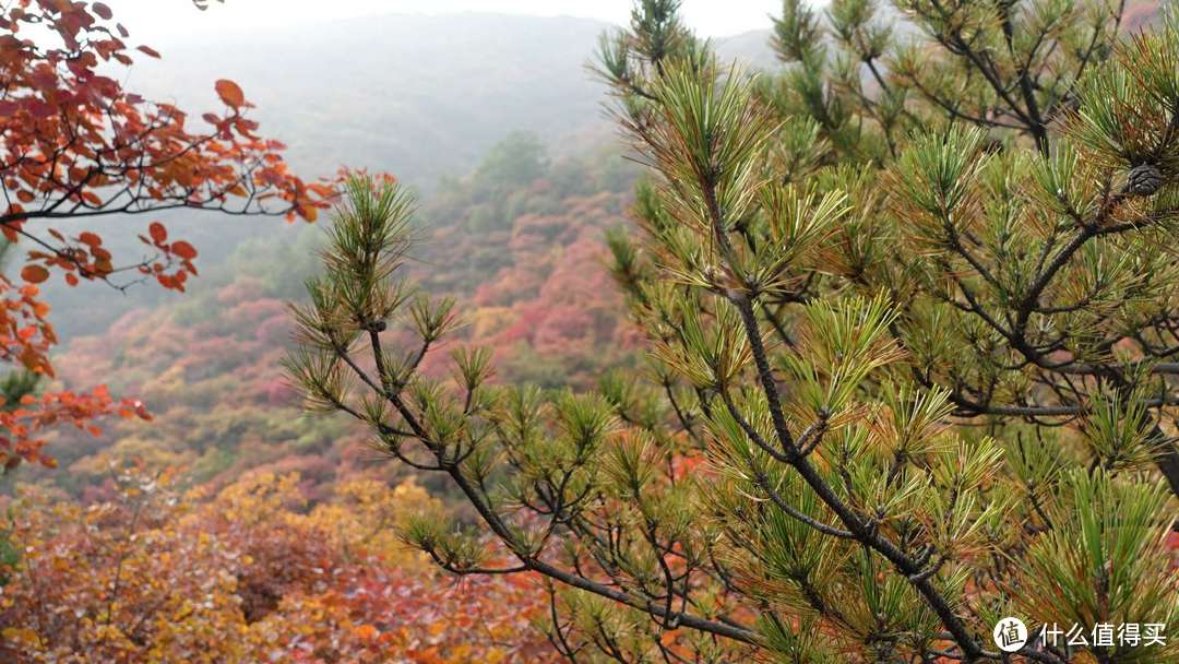 北京房山坡峰岭一日游记