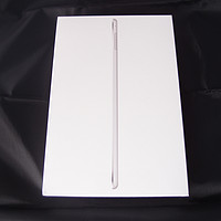 苹果 ipad mini 4平板电脑外观展示(电源键|闪光灯|音量键|充电口|扬声器)