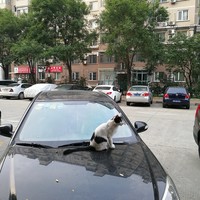 华为 荣耀9 手机使用感受(颜值|系统|续航|指纹识别)