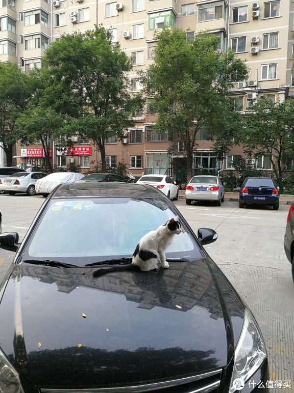 室外阳光