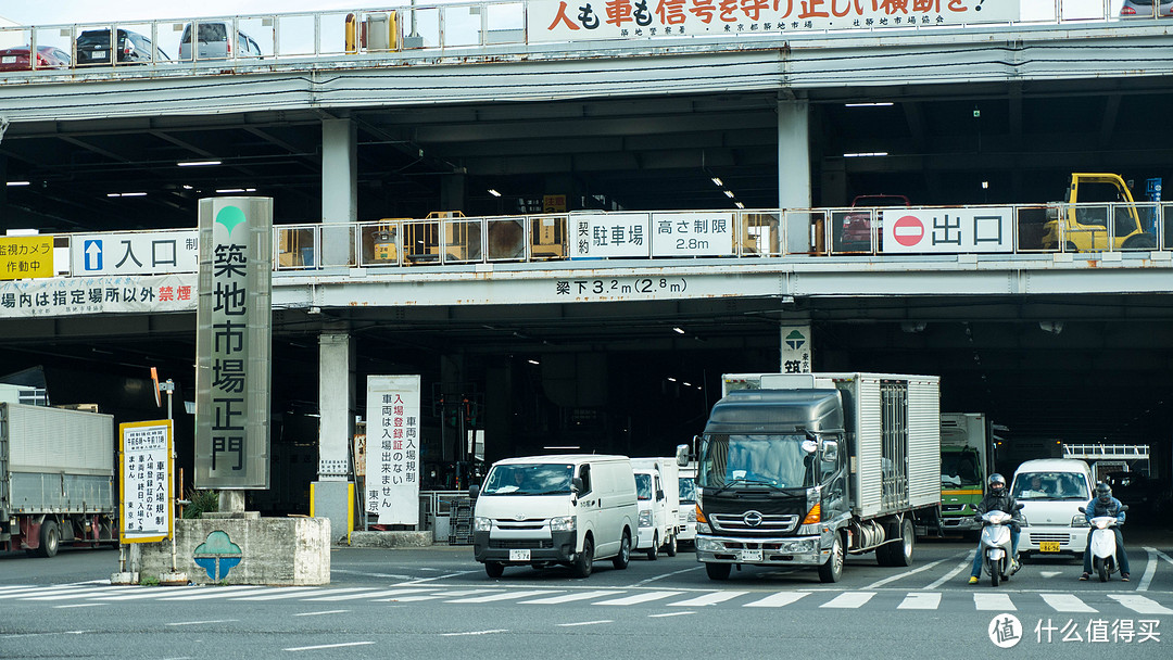 #原创新人#花蛤第一视角—单人八天七夜暴走日本东京