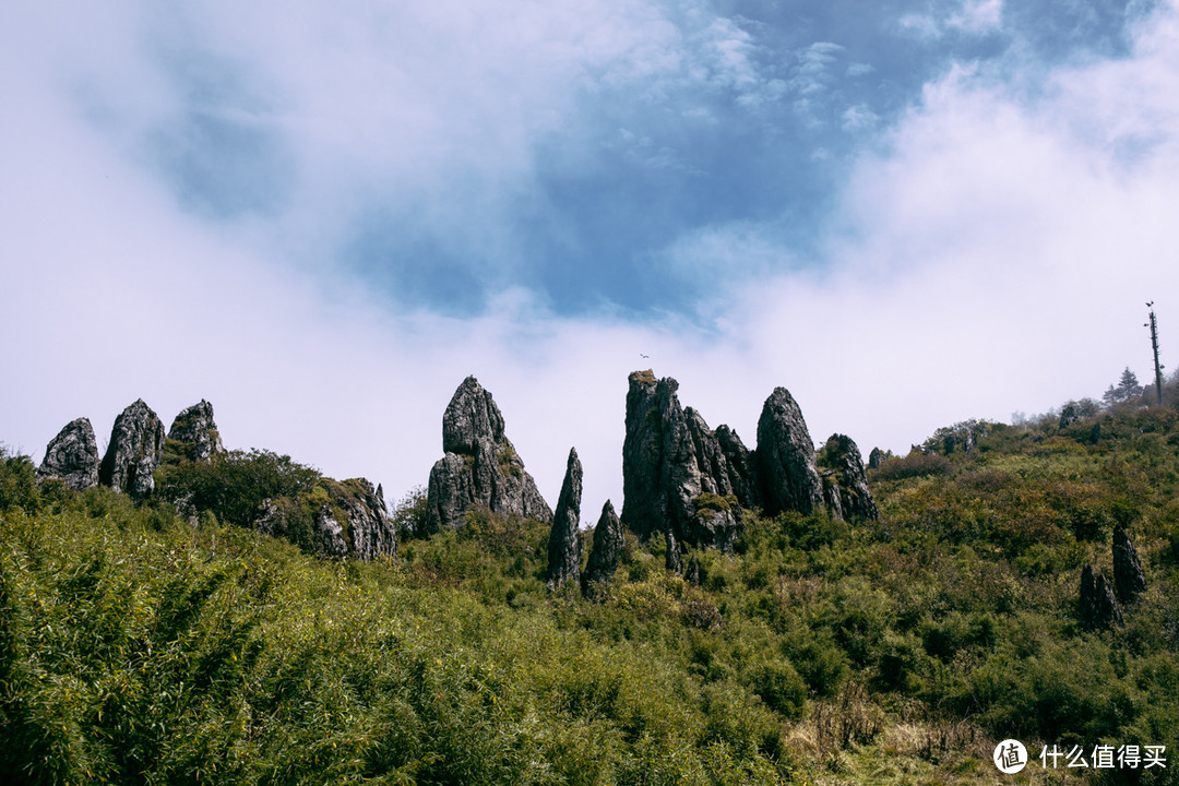 （二）神农架、南山