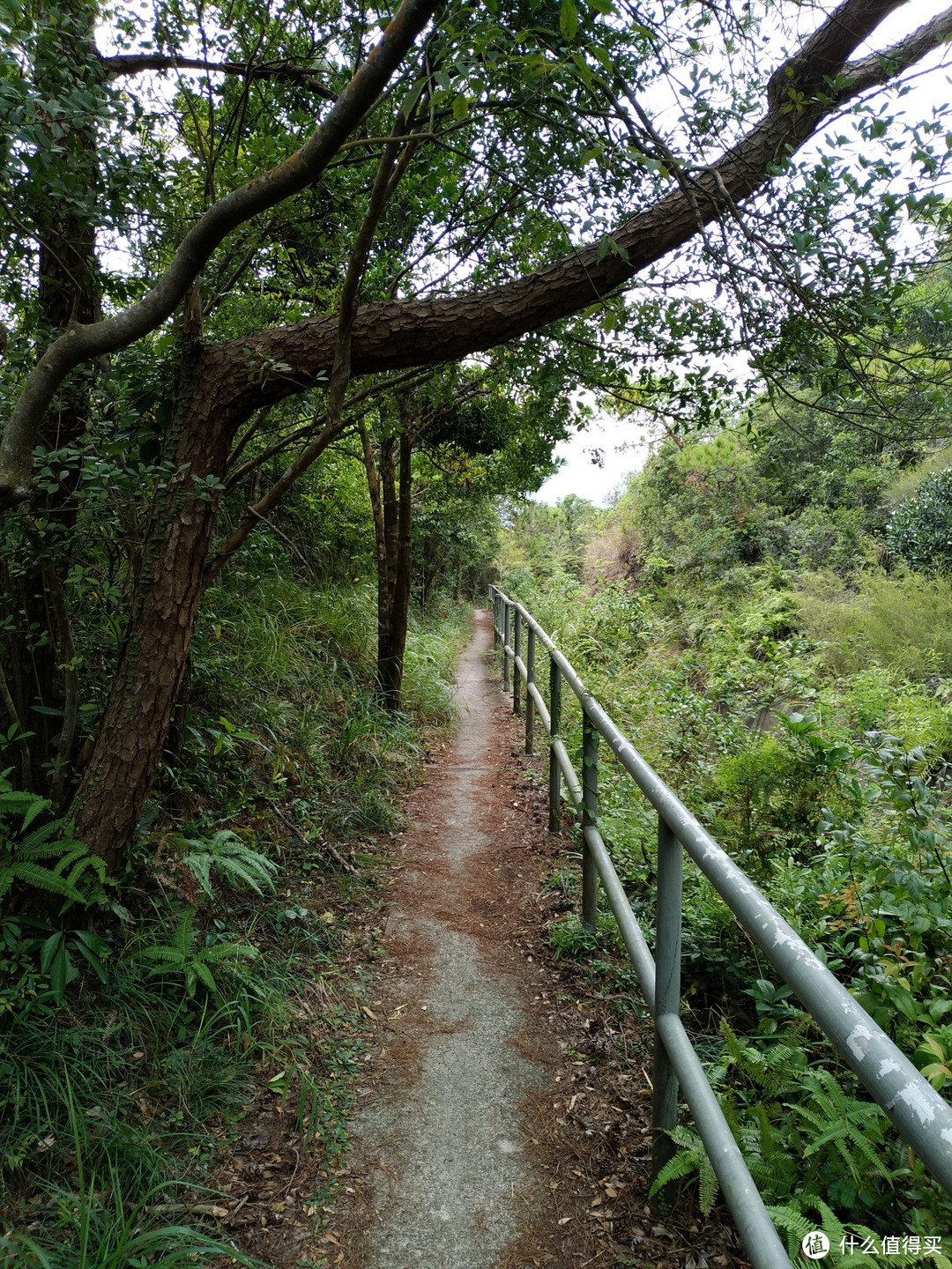 香港另一面的美，港岛径25KM暴走